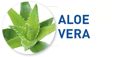 aloe-vera